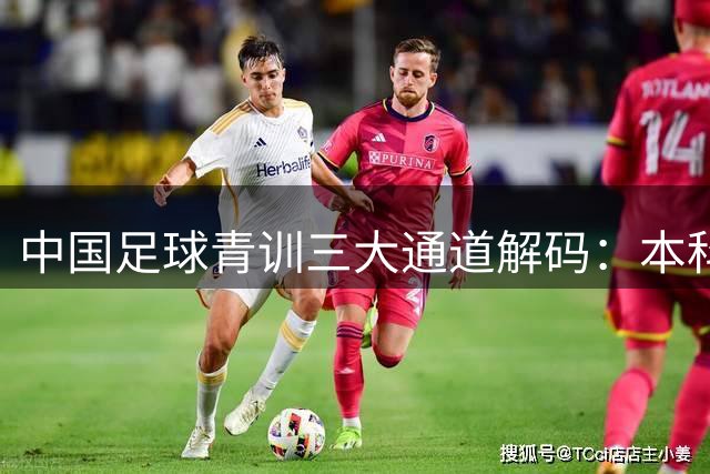 中国足球青训三大通道解码：本科、职业、新型足球学校如何互补发展