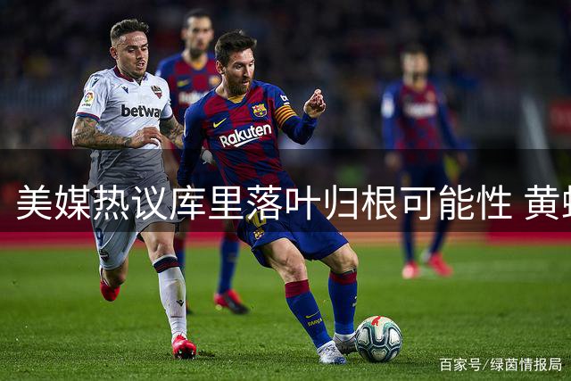 美媒热议库里落叶归根可能性 黄蜂阵容吸引力引关注